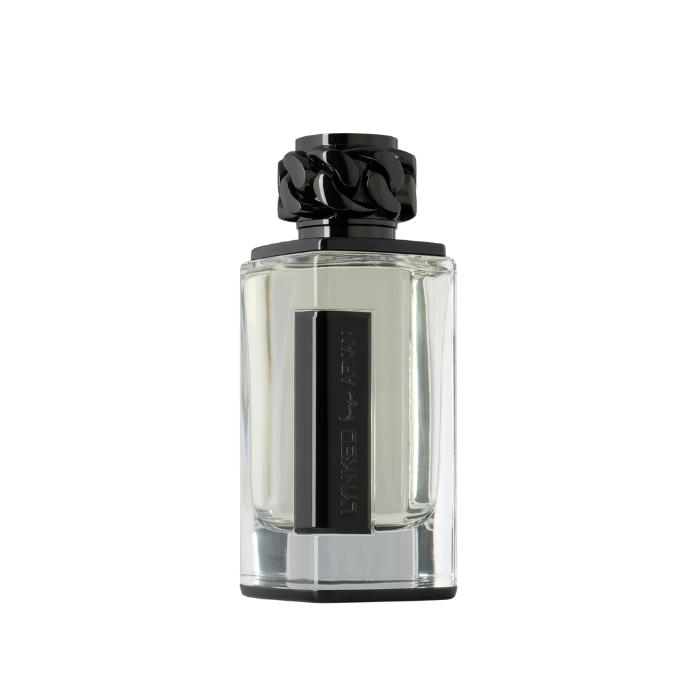 Afnan Lynked Freedom Men EDP 100 ML